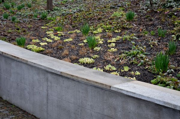 Concrete Wall Construction in Merced