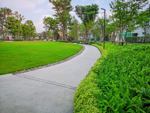 Cement Walkway Service in Merced