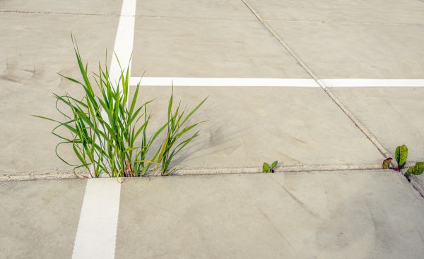 Concrete Parking Installation in Merced