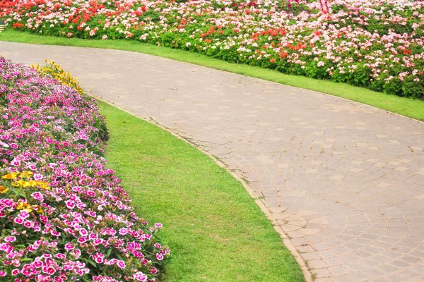 Concrete Walkway Service in Merced